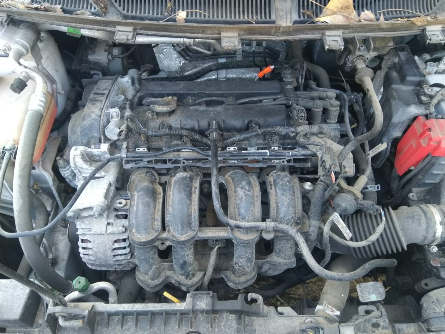 Peças - Motor 1.2 Ti-Vct 70Cv - B2ka [Ford Ka+]