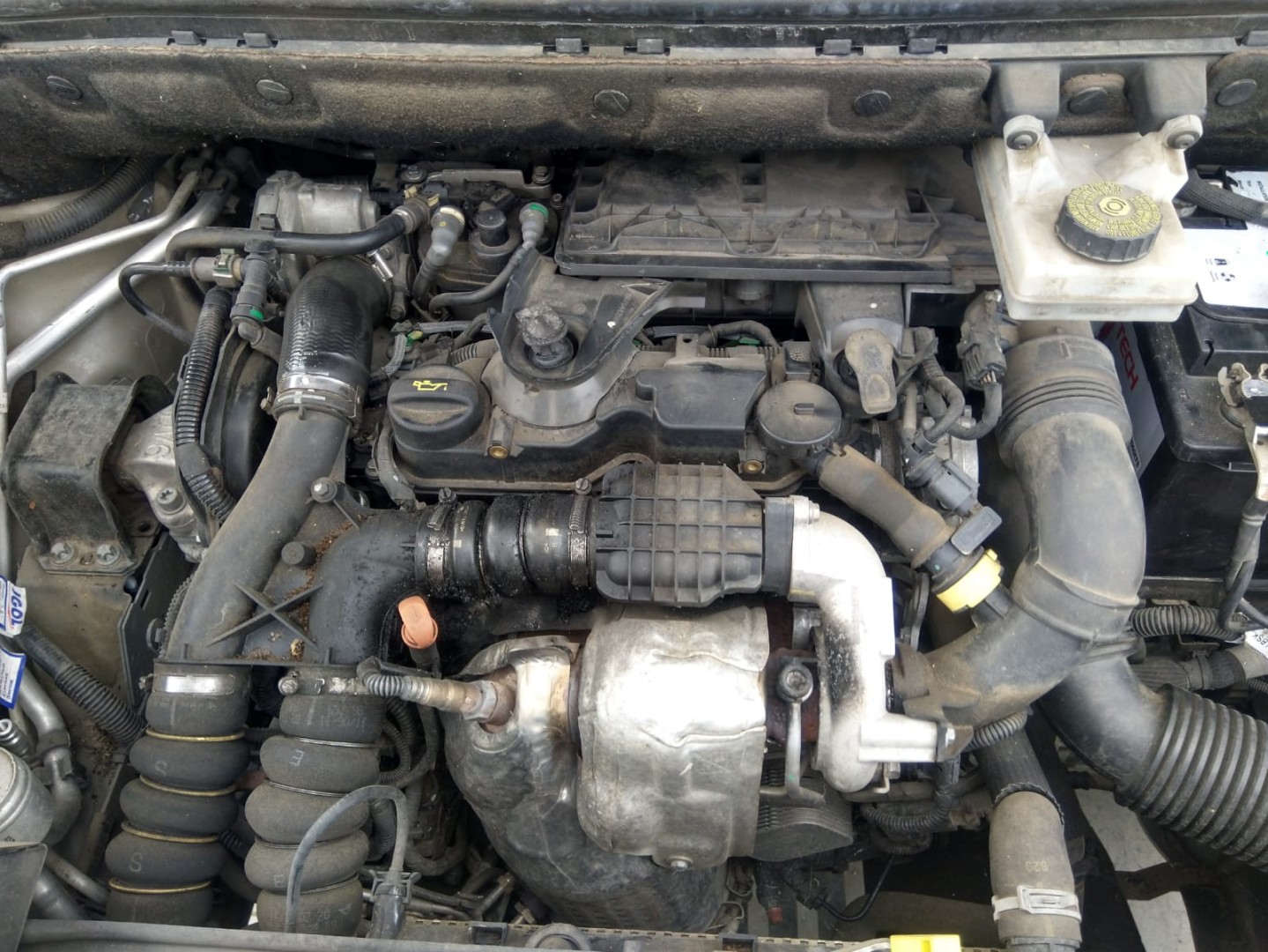 Peça - Motor 1.6 Hdi 92Cv - 9Hp / 9H06 [Citroen Berlingo (B9)]